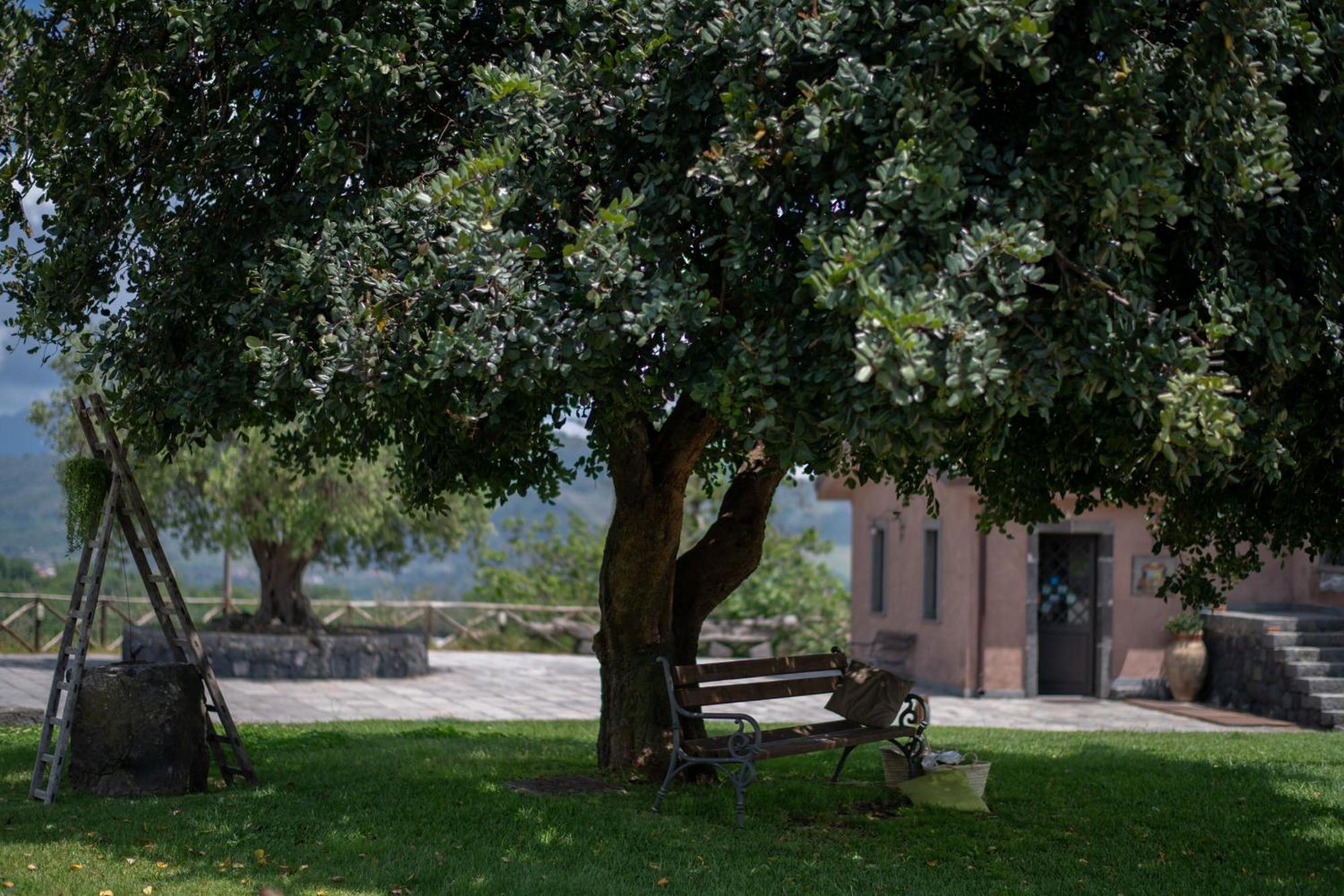 Borgata Baldazza Hotel Linguaglossa Buitenkant foto